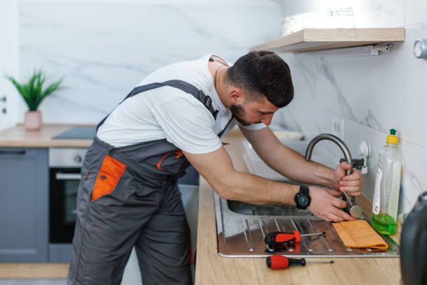 Best Toilet Repair Services  in Carlinvle, IL