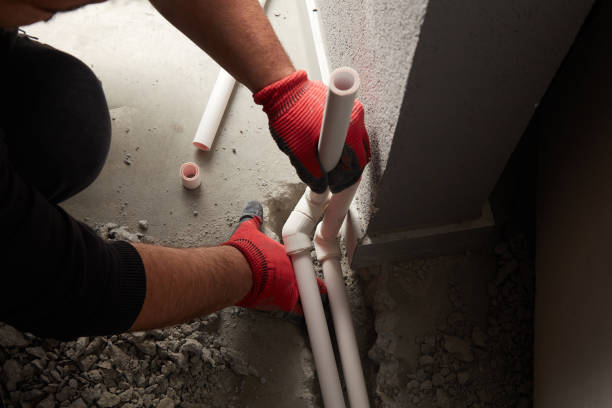 Best Plumbing Inspection Services  in Carlinvle, IL