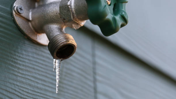 Best Commercial Plumbing Services  in Carlinvle, IL