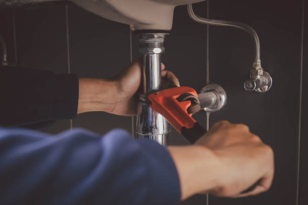 Best Plumbing Inspection Services  in Carlinvle, IL