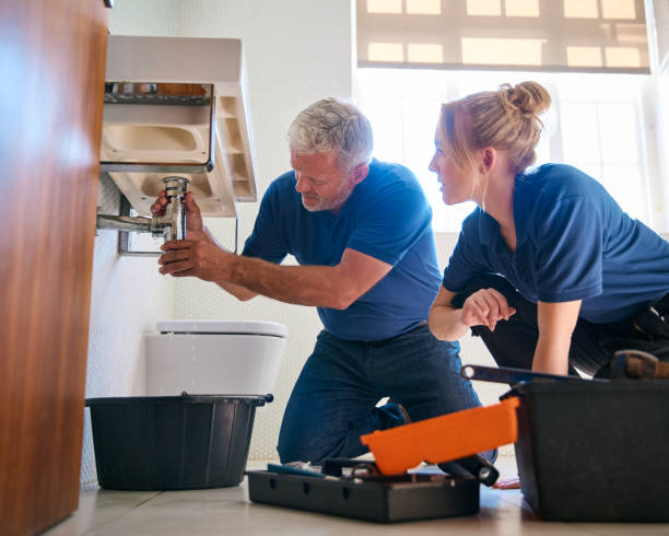 Best Same-Day Plumbing Service  in Carlinvle, IL